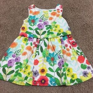 Cherokee flower dress 18M